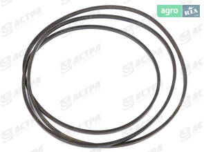 Ремень HC 6925 Harvest Belts 644368.0 644368.1