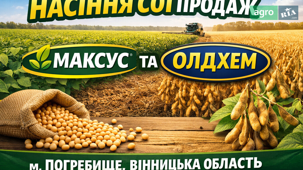 Соя Максус   - фото 1