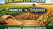 Новий