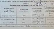 Новий