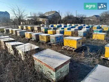 Продам вулики (50 шт.) у повному комплекті — готові оселі для бджолиних велетнів - фото