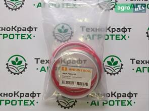 Ремкомлект гідроциліндра AH216634 John Deere